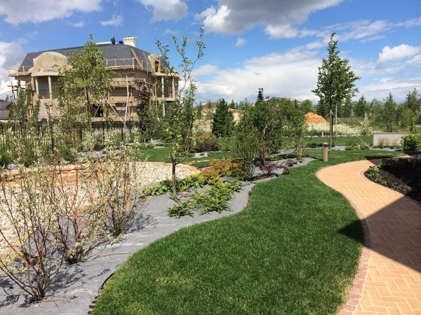 Геотекстиль Дорнит 100